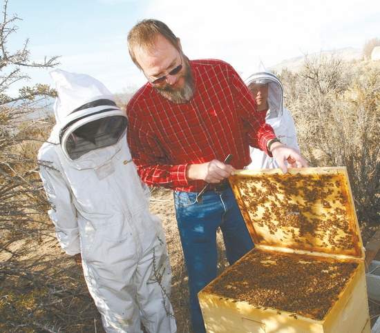 Nevada Backyard Beekeeping is fun and rewarding